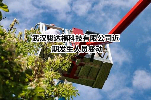 武汉骏达福科技有限公司