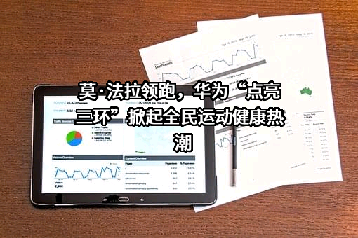 华为技术有限公司