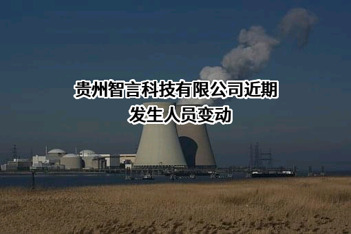 贵州智言科技有限公司