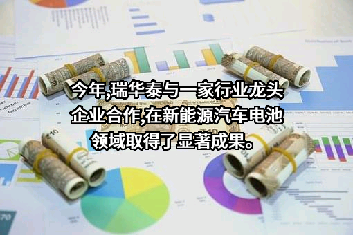 深圳瑞华泰薄膜科技股份有限公司
