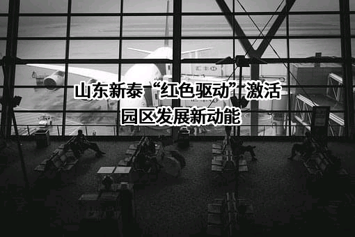 山东新泰新街口置业有限公司