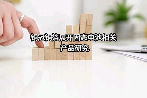 安徽铜冠铜箔集团股份有限公司