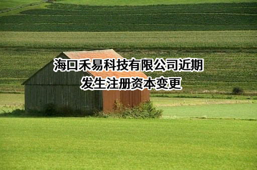 海口禾易科技有限公司