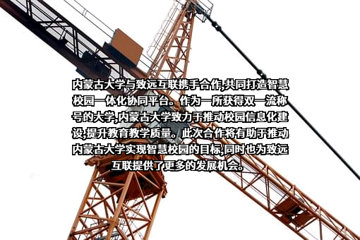 北京致远互联软件股份有限公司