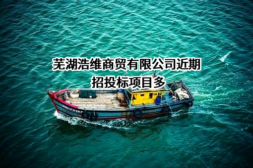 芜湖浩维商贸有限公司近期招投标项目多