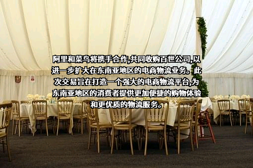 阿里巴巴集团控股有限公司