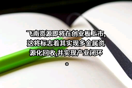 广东芳源新材料集团股份有限公司