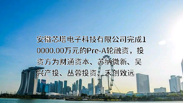 安徽芯塔电子科技有限公司