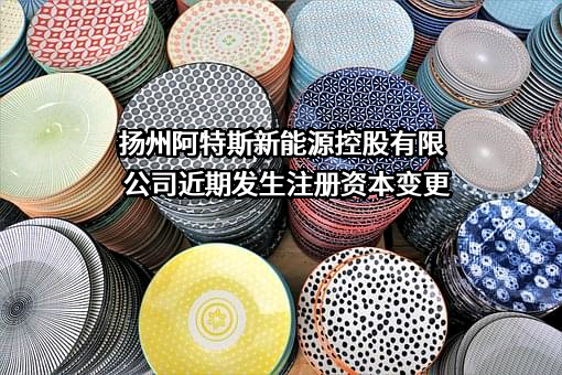 扬州阿特斯新能源控股有限公司