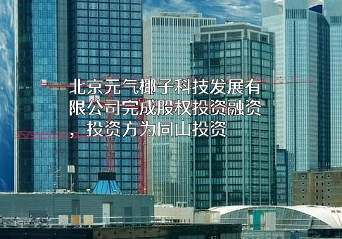 北京元气椰子科技发展有限公司