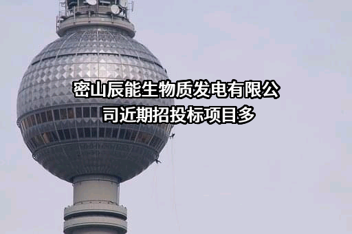 密山辰能生物质发电有限公司