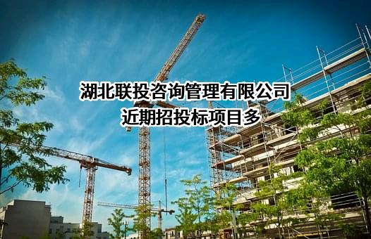 湖北联投咨询管理有限公司