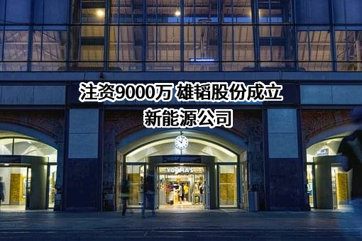 深圳市雄韬电源科技股份有限公司