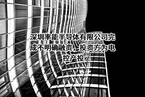 深圳率能半导体有限公司