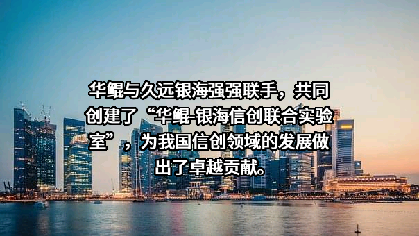 四川华鲲振宇智能科技有限责任公司