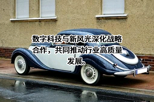 新风光电子科技股份有限公司
