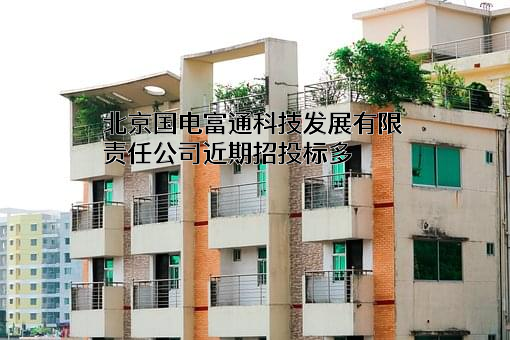 北京国电富通科技发展有限责任公司