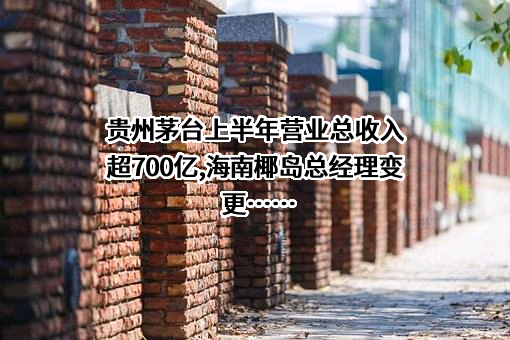 海南椰岛（集团）股份有限公司