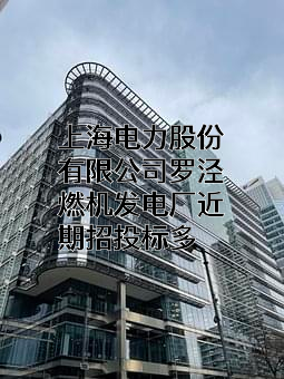 上海电力股份有限公司罗泾燃机发电厂