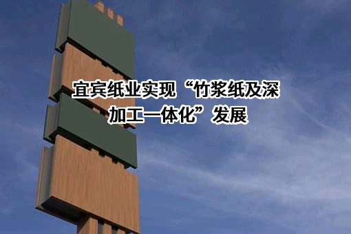 宜宾纸业股份有限公司