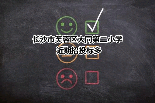 长沙市芙蓉区大同第二小学