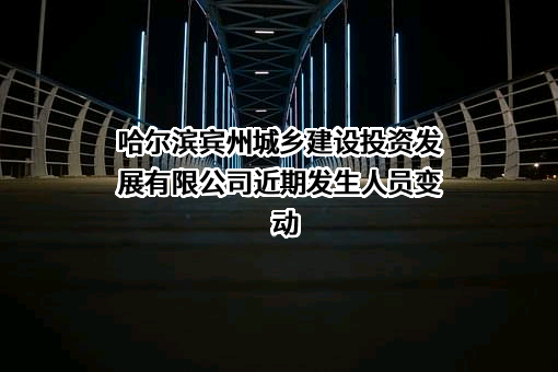 哈尔滨宾州城乡建设投资发展有限公司