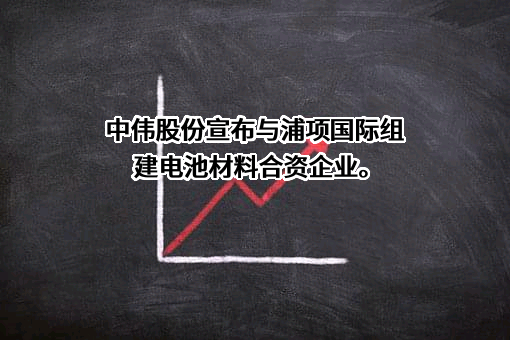 中伟新材料股份有限公司