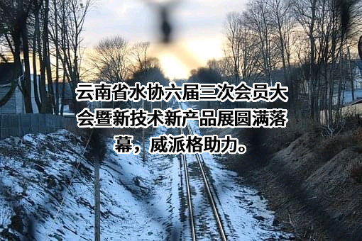 上海威派格智慧水务股份有限公司