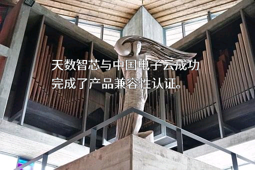 上海天数智芯半导体有限公司