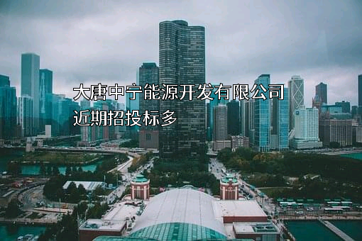 大唐中宁能源开发有限公司