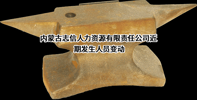 内蒙古志信人力资源有限责任公司