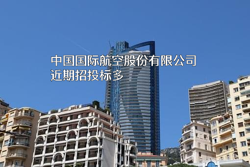 中国国际航空股份有限公司