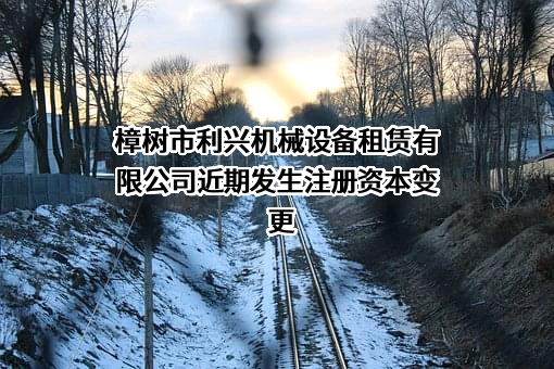 樟树市利兴机械设备租赁有限公司