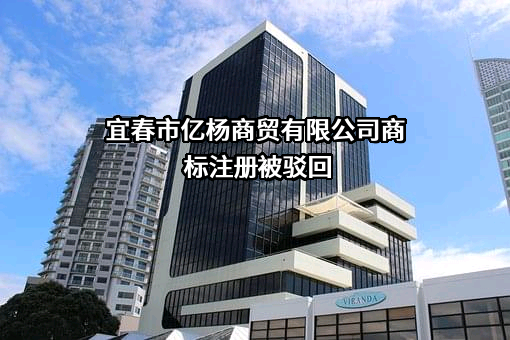 宜春市亿杨商贸有限公司商标注册被驳回