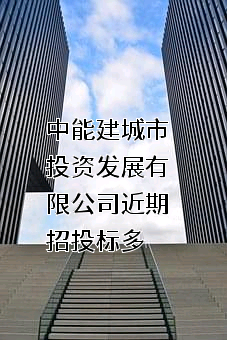中能建城市投资发展有限公司