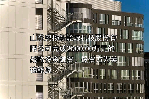 山东奥扬新能源科技股份有限公司