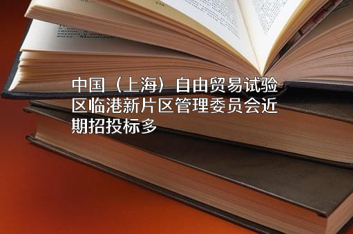 中国（上海）自由贸易试验区临港新片区管理委员会