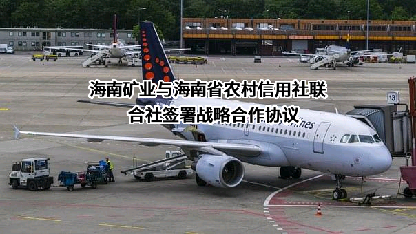 海南矿业股份有限公司