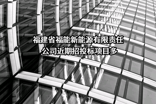 福建省福能新能源有限责任公司