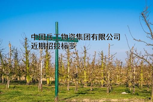 中国兵工物资集团有限公司