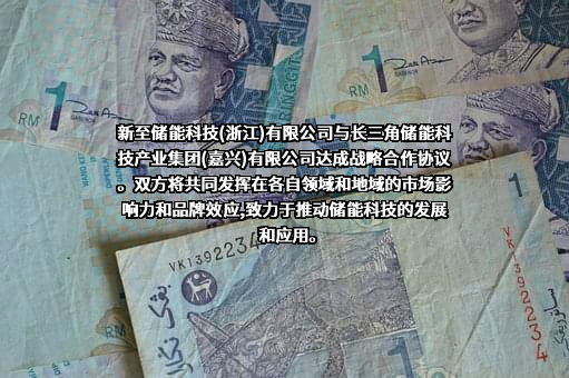 新至储能科技（浙江）有限公司