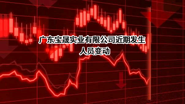 广东宝晟实业有限公司