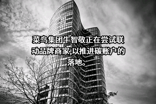 菜鸟控股集团股份有限公司