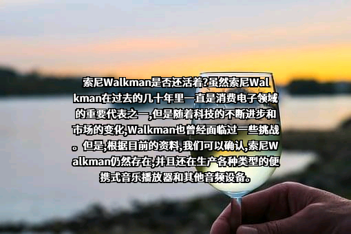 索尼公司