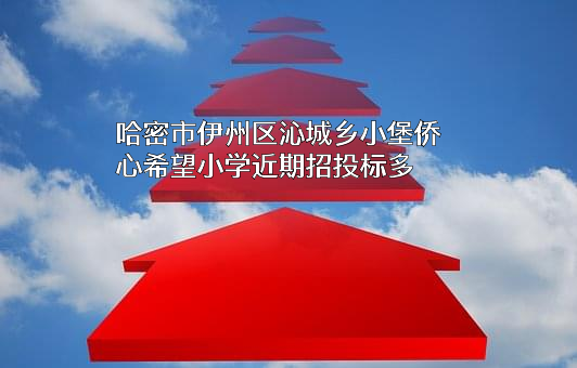 哈密市伊州区沁城乡小堡侨心希望小学