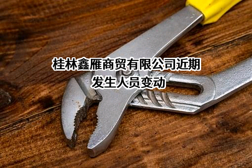 桂林鑫雁商贸有限公司