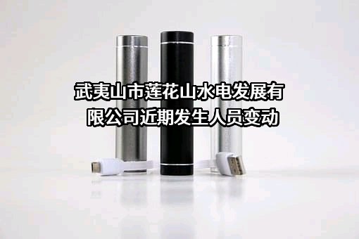 武夷山市莲花山水电发展有限公司