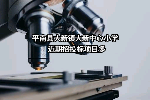 平南县大新镇大新中心小学
