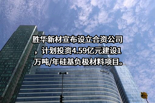 胜华新材料科技（眉山）有限公司