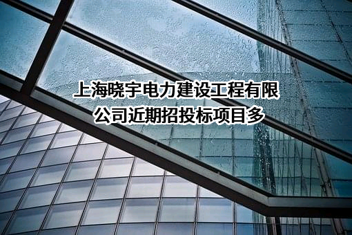 上海晓宇电力建设工程有限公司